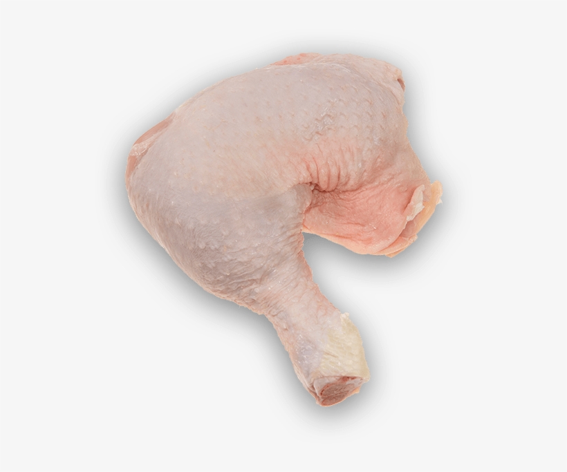 Coxa e Sobrecoxa - Chicken Leg Quarter